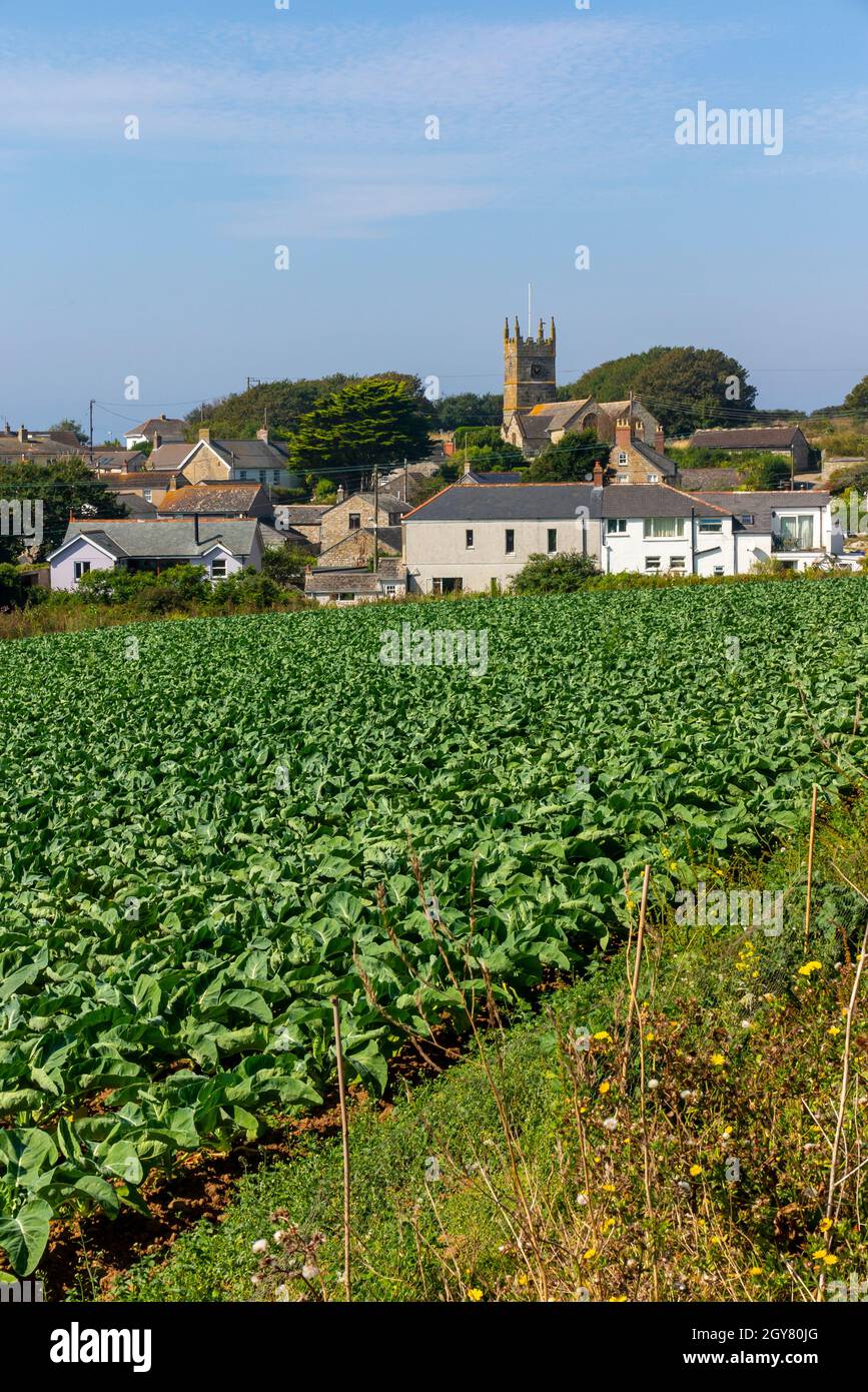Blick in Richtung Perranuthnoe ein Dorf in der Nähe von St. Michael's Mount auf dem South West Coast Path in Cornwall England Stockfoto