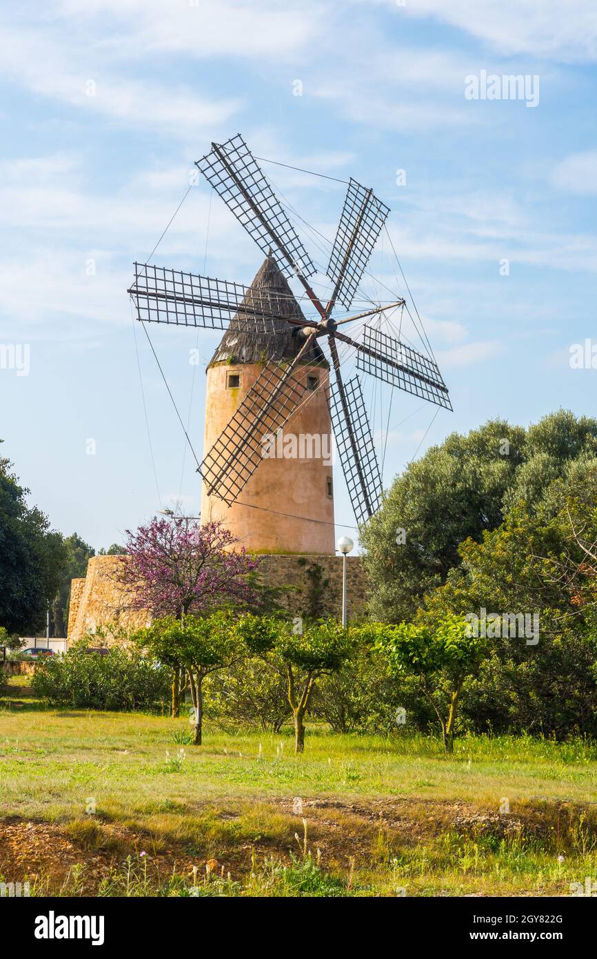 Typische Windmühle, Mallorca Stockfoto
