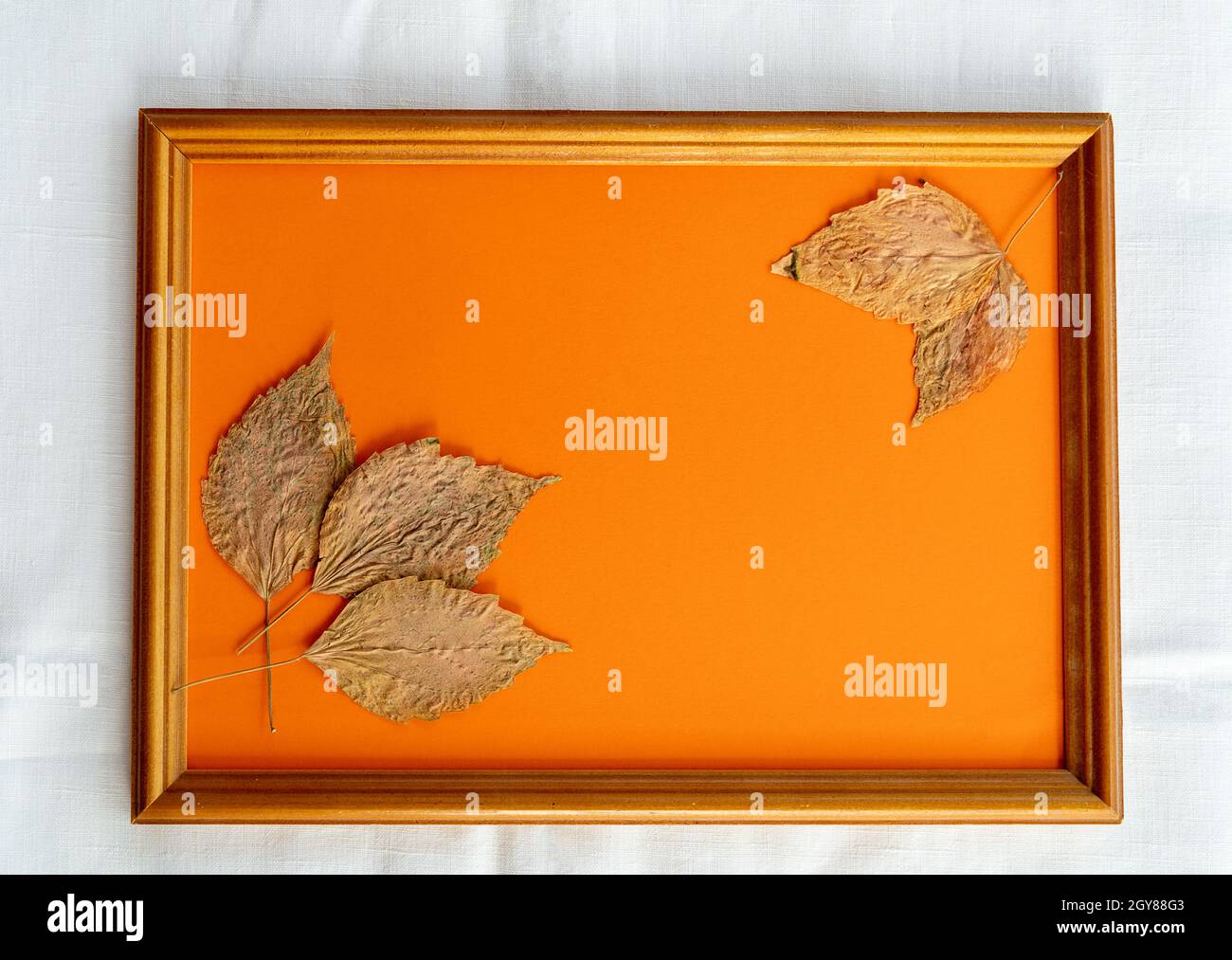 Fotorahmen und kleine trockene Blätter auf pastellorangefarbenem Hintergrund. Mit Dekorelementen nachgestellt. Stockfoto