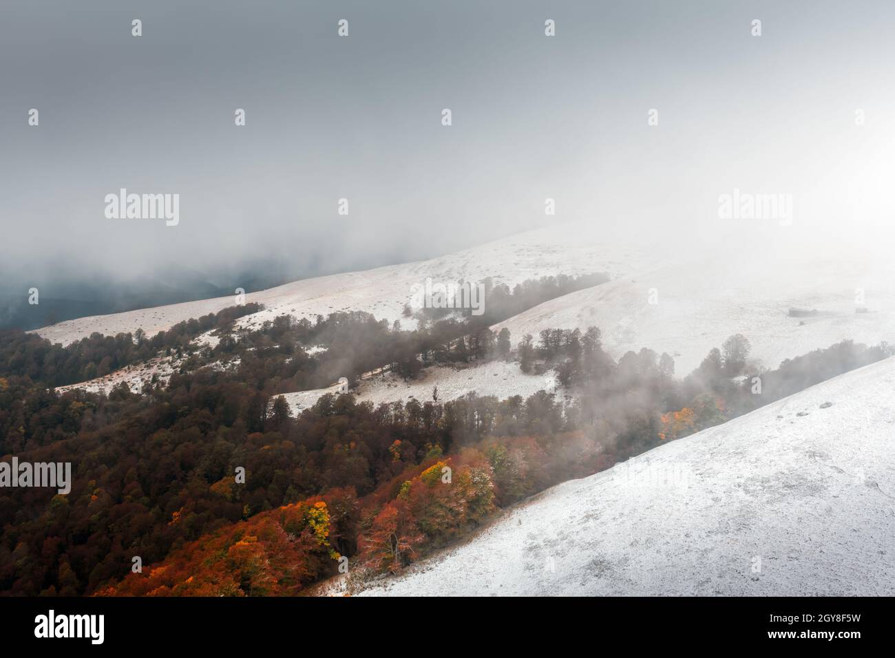 Erstaunliche Szene auf Herbstbergen. Erster Schnee und Orangenbäume im fantastischen Morgennebel. Karpaten, Europa. Landschaftsfotografie Stockfoto