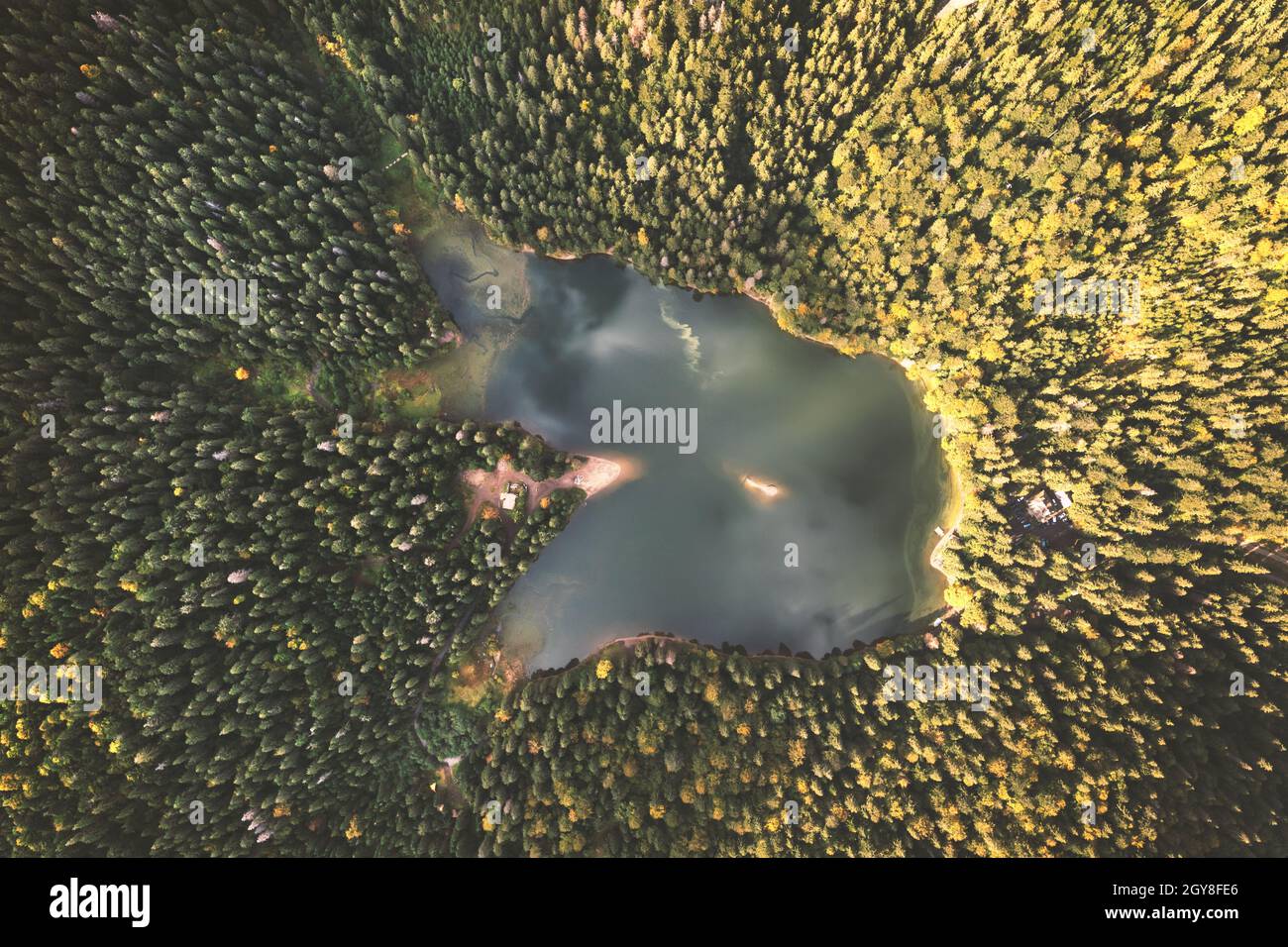 Luftaufnahme des wilden Synevir-Sees in den Karpaten in der Ukraine. Nebliger See im Sommerherbstwald. Landschaftsfotografie Stockfoto