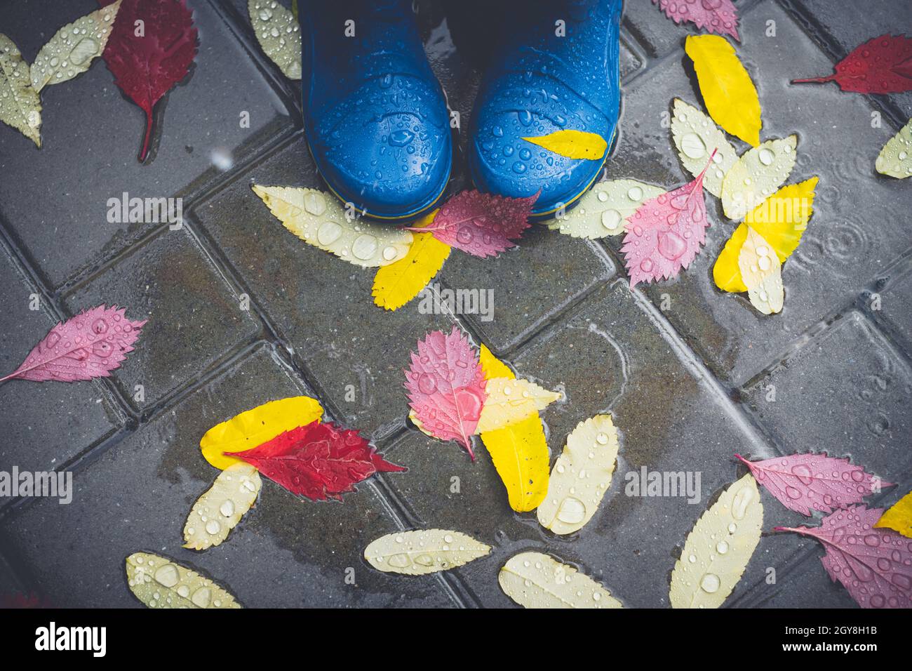 Füße in blauen Gummistiefeln, die in einem nassen Betonpflaster mit Herbstblättern im Regen mit Regenschirm-Schatten stehen. Herbstkonzept Stockfoto