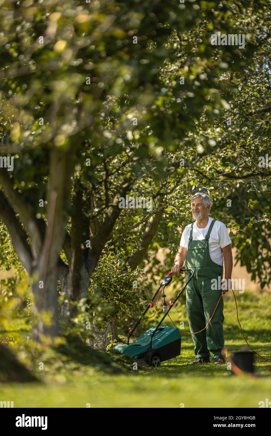 Senior gardenr Gartenarbeit in seine Permakultur Garten Stockfoto