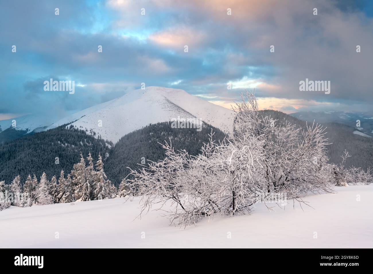 Fantastische Winterlandschaft in verschneiten Bergen, die durch die Abendsonne glühen. Dramatische winterliche Szene mit gefrorenen verschneiten Bäumen bei Sonnenuntergang. Weihnachtsfeiertage Hintergrund Stockfoto