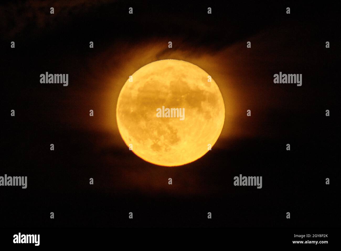 Vollmond, der ein Erntemon ist, der orange leuchtet und eine neblige Wolkenbedeckung hat Stockfoto