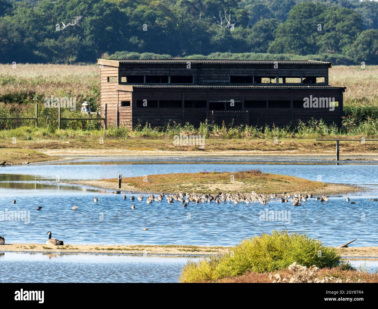 Ein Vogelhäuschen im RSPB Minsmere Nature Reserve, Suffolk, Großbritannien. Stockfoto