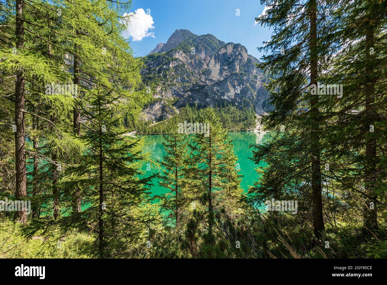 Pragser Wildsee und der Gipfel des Sasso del Signore, Dolomiten, Südtirol, Trentino-Südtirol, Bozen, Italien, Europa. Stockfoto
