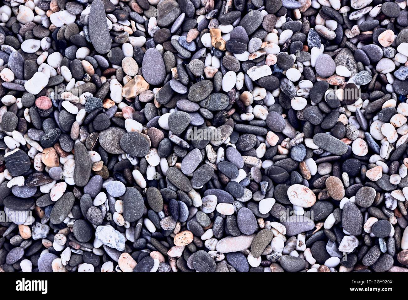 Hintergrund aus Kieselsteinen, Blick von oben. Die Textur von Meeressteinen. Grau-lila, weiße, gelbe Steine auf dem Meer. Natürliche Materialien und Farben aus Stein. Stockfoto