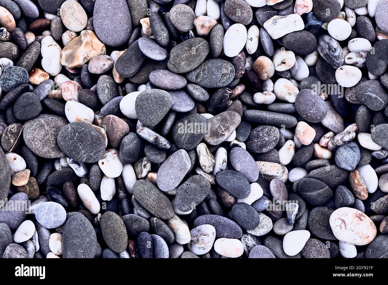 Hintergrund von Meereskieseln, Draufsicht, Nahaufnahme. Die Textur von Meeressteinen. Grau-lila, weiße, gelbe Steine auf dem Meer. Natürliche Materialien und Farben. Stockfoto