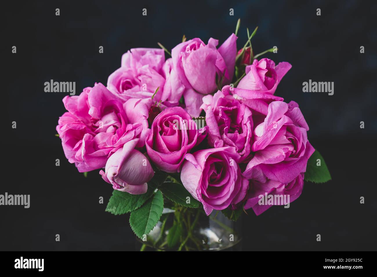 Bouquet von kleinen rosa Gartenrosen in Vase auf dunkel Hintergrund Stockfoto
