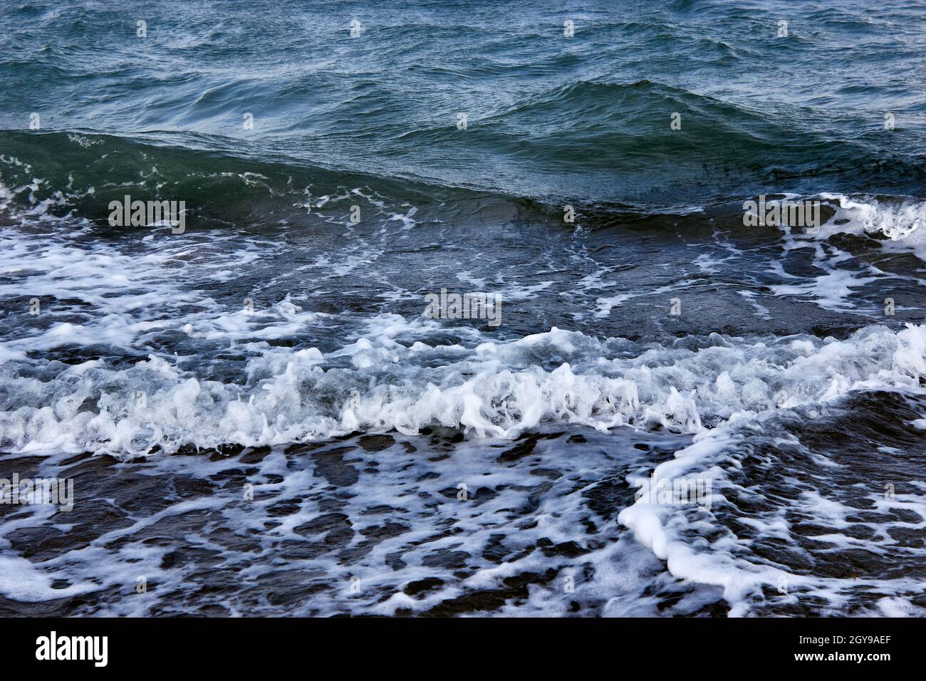 Wellen auf der Wasseroberfläche. Dunkles Meer, starke Wellen mit hellweißem Meeresschaum. Das tobende Meer bei schlechtem Wetter. Eine eingehende Welle aus nächster Nähe. Stockfoto