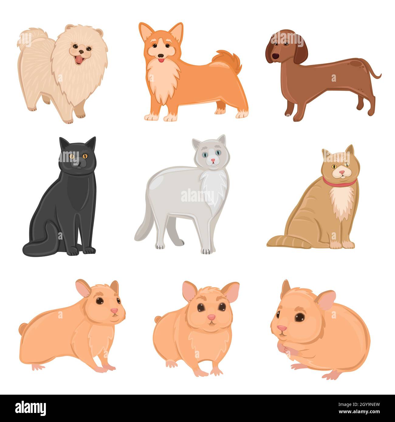 Rasse von realistischen Haustieren Katzen, Hunde und Hamster - Vektor-Illustration Stockfoto