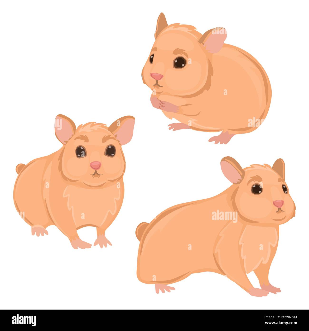 Drei realistische Hamster auf weißem Hintergrund - Vektor-Illustration Stockfoto