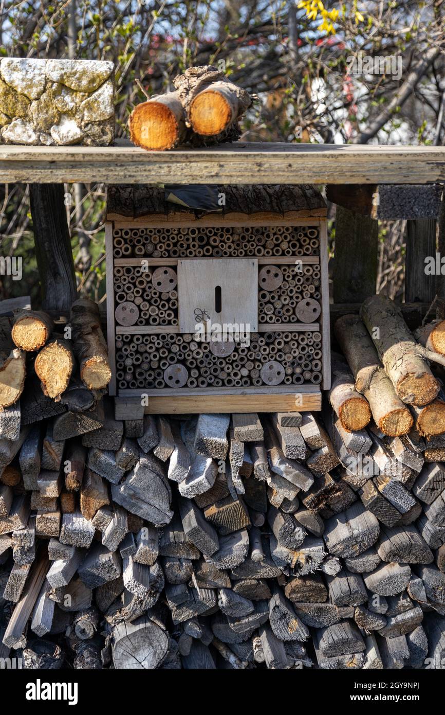 Ein Insektenhaus für Bienen, Fliegen und alle Arten von Insekten im Garten im Frühling. Stockfoto