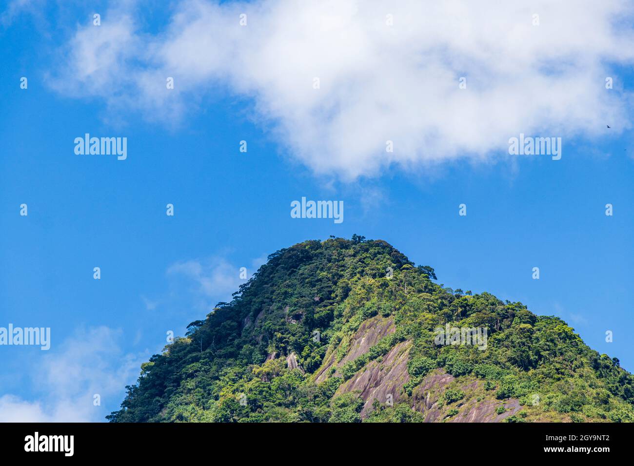 Abraão Berg Pico do Papagaio mit Wolken. Ilha Grande, Angra dos Reis, Rio de Janeiro, Brasilien. Stockfoto