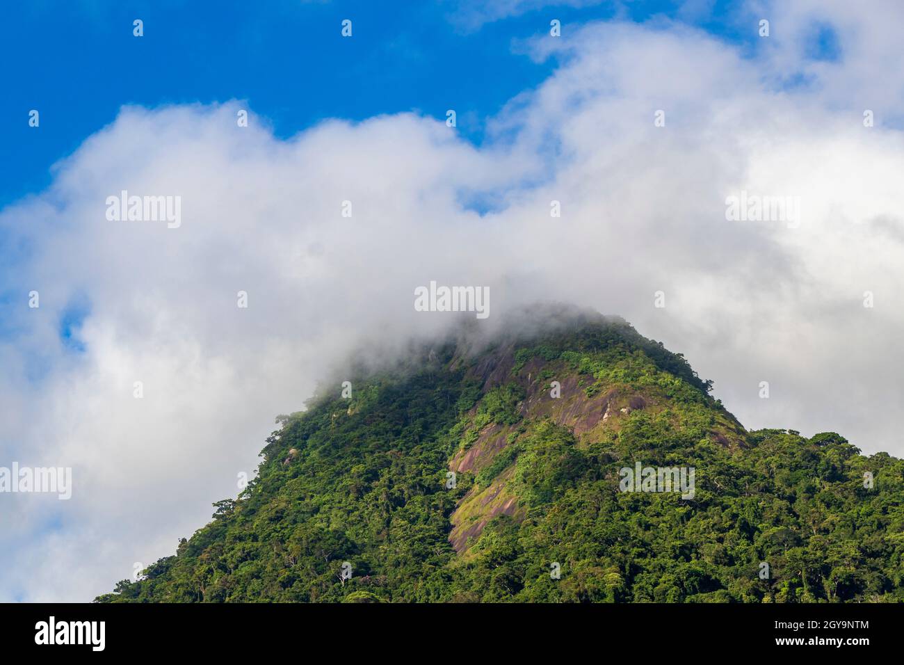 Abraão Berg Pico do Papagaio mit Wolken. Ilha Grande, Angra dos Reis, Rio de Janeiro, Brasilien. Stockfoto