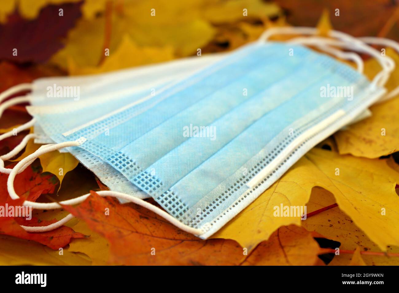 Medizinische Einwegmasken auf Ahornblättern. Konzept des Schutzes während einer Coronavirus-Infektion in der herbstlichen kalten Jahreszeit Stockfoto