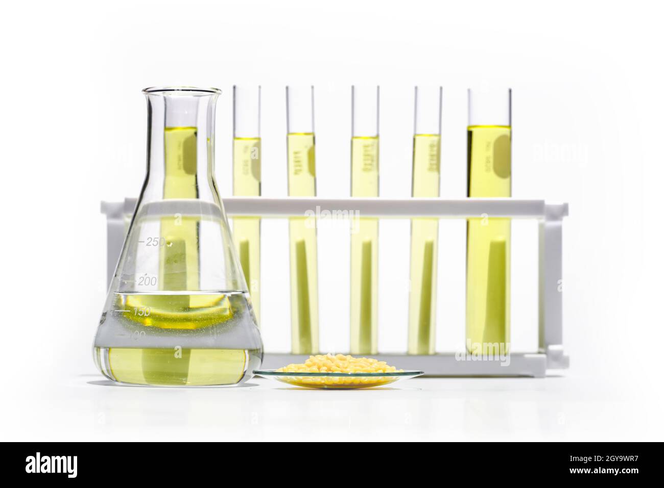 Candelilla-Wachs aus chemischem Uhrglas und gelber kosmetischer Farbe (Öl) im erlenmeyerkolben vor dem Reagenzglasständer. Stockfoto