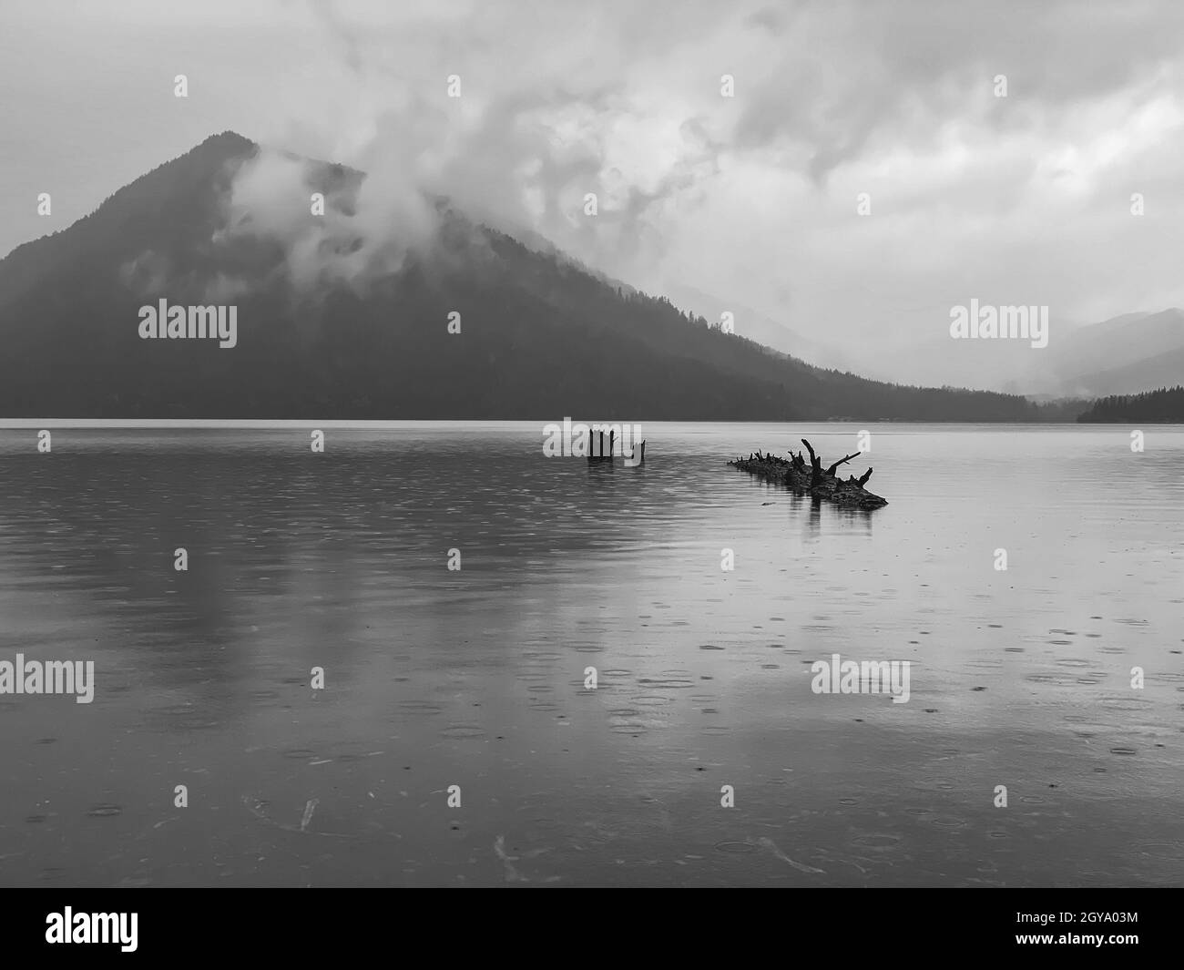 Graustufenaufnahme von Lake Crescent, Olympic National Park in Clallam County, Washington, USA Stockfoto