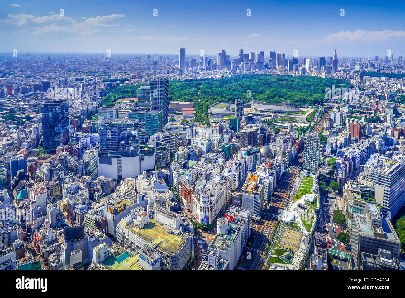 Der Blick vom Shibuya Sky Observatorium. Drehort: Metropolregion Tokio Stockfoto
