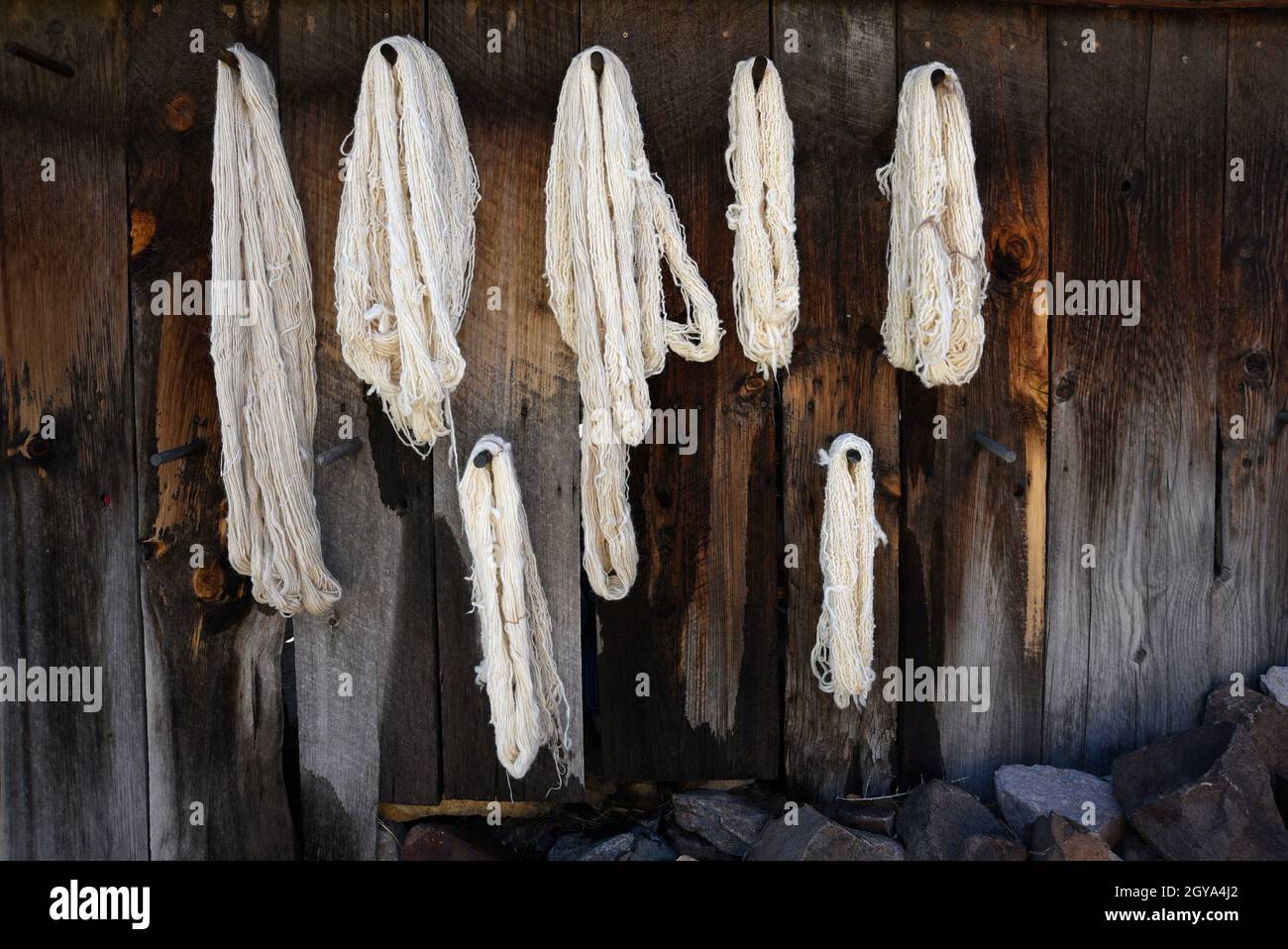 Im Wohnkomplex El Rancho de las Golondrinas in der Nähe von Santa Fe, New Mexico, werden bald Bündeln aus Rohwolle mit natürlichen Pflanzenpigmenten gefärbt. Stockfoto