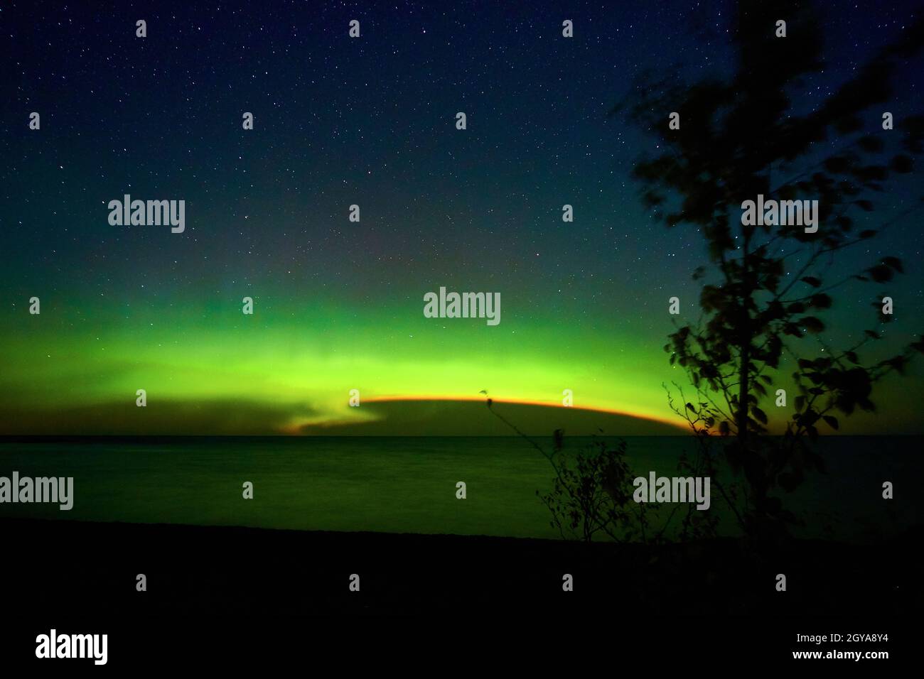 Aurora Lichter mit Tornado-Muster und Baum mit Blättern Silhouette und Nachthimmel Stockfoto