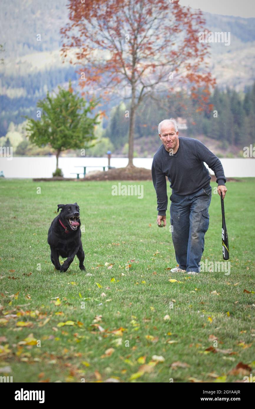 Ein redaktionelles Foto eines Mannes, der mit seinem schwarzen Labrador Retriever in Hauser, Idaho, Fetch spielt. Stockfoto