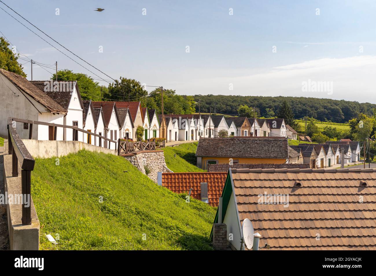 Weinkeller in Villanykovesd, Villany, Ungarn Stockfoto