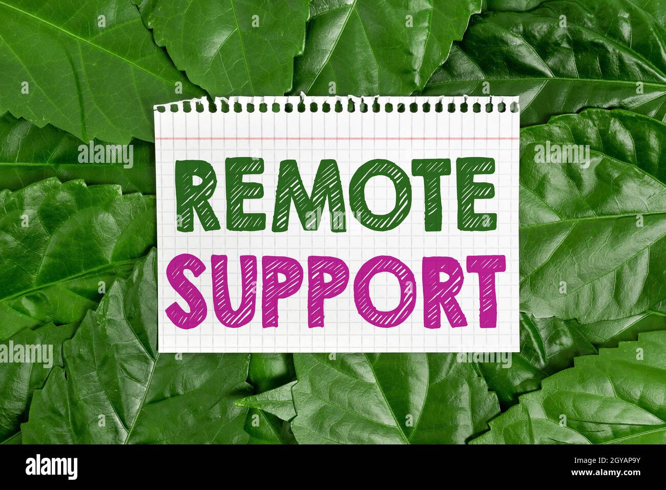 Schreiben Anzeige Text Remote Support, Business Schaufenster Art von sicherem Service, der Vertreter helfen, Naturschutz Ideen, Neu Stockfoto