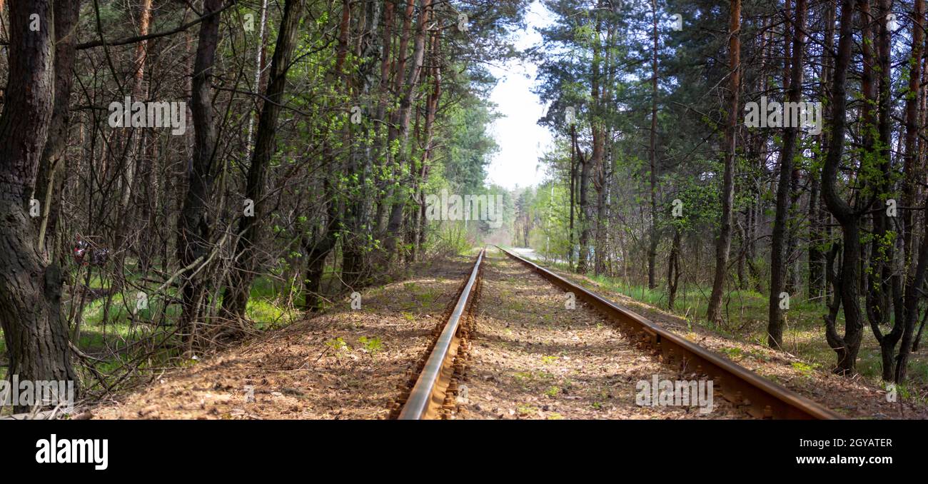 Alte, rostige Bahngleise, die durch den Wald liegen, auf denen der Zug selten fährt Stockfoto