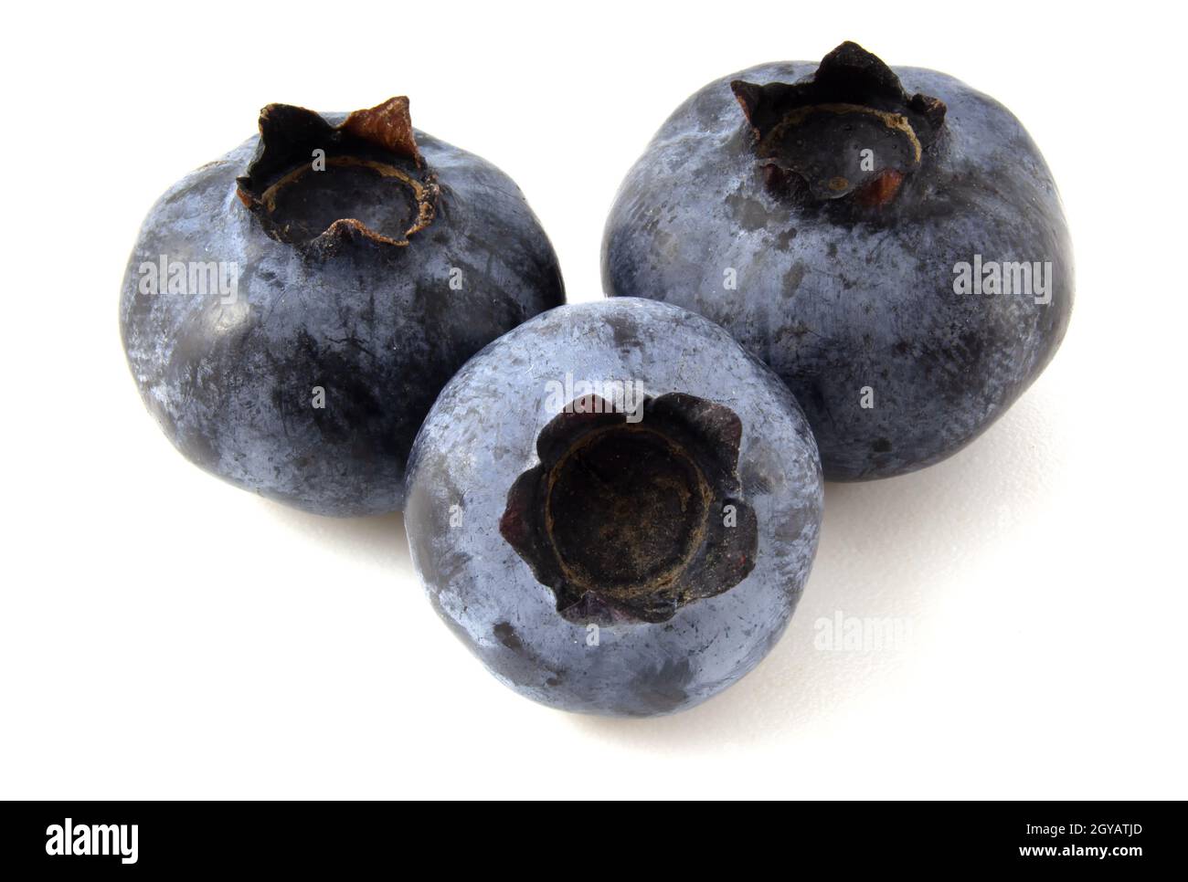 Heidelbeere liegt isoliert auf weißem Hintergrund. Frische reife Beeren Stockfoto