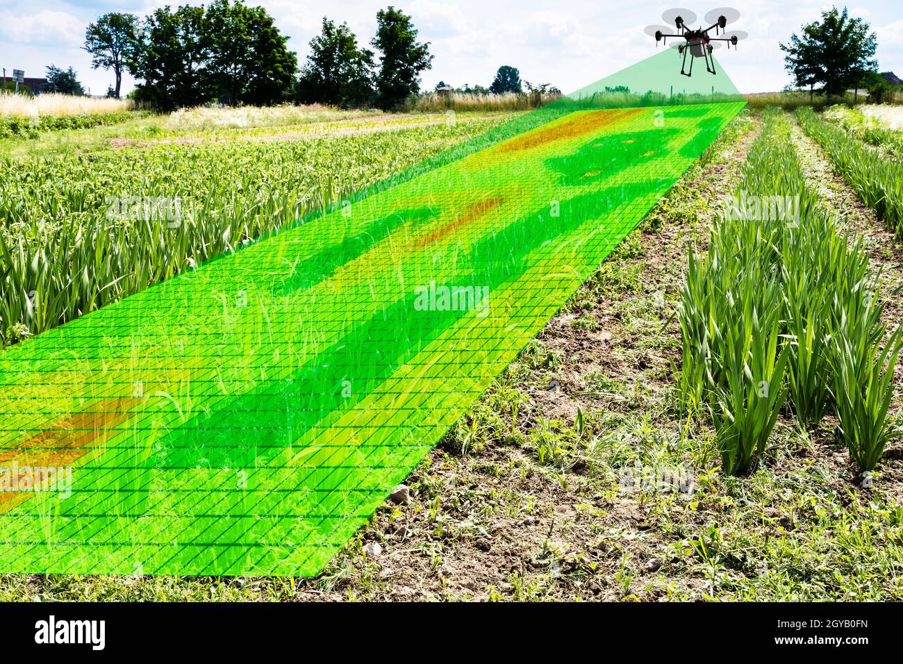 Landwirtschaft Landwirtschafts-Technologie Und Digitale Pflanzenüberwachung Stockfoto