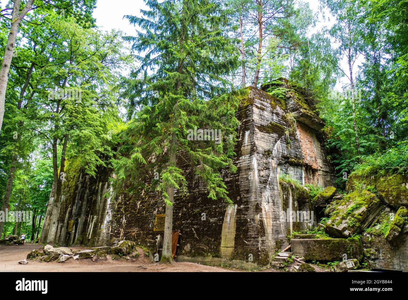 Adolf Hitlers Bunker - das Wolfssplatz, in der Wolfsschanze. Polen. Stockfoto