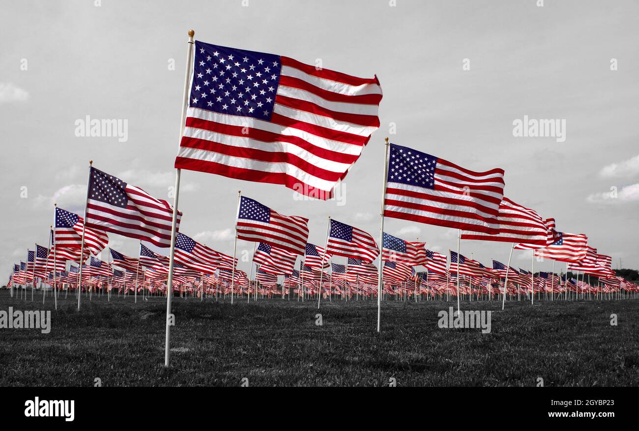 Horizontale Aufnahme von vielen amerikanischen Flaggen, die in den Boden gepflanzt wurden Stockfoto