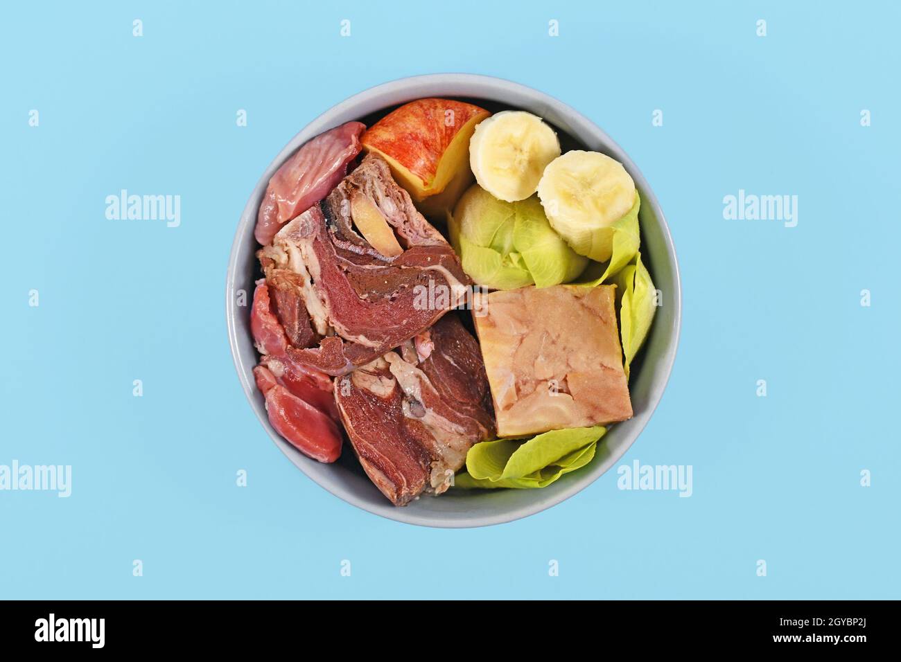 Hundeschale mit Arten angeeigneten Rohkost wie Stücke von rohem Fleisch, Gemüse und Obst auf blauem Hintergrund Stockfoto