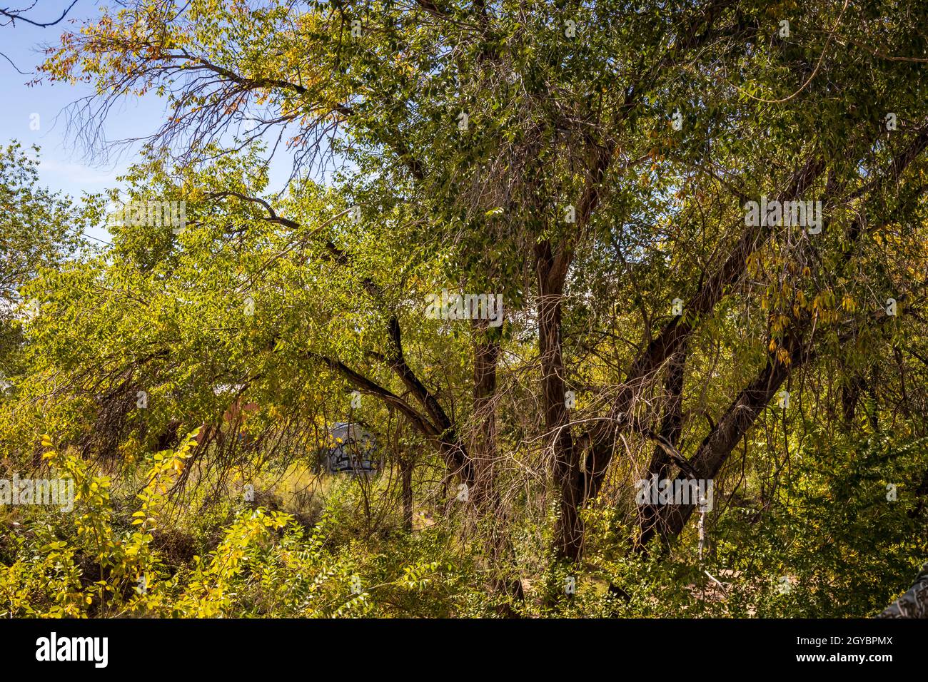 Ein Blick vom Santa Fe Greenbelt Stockfoto