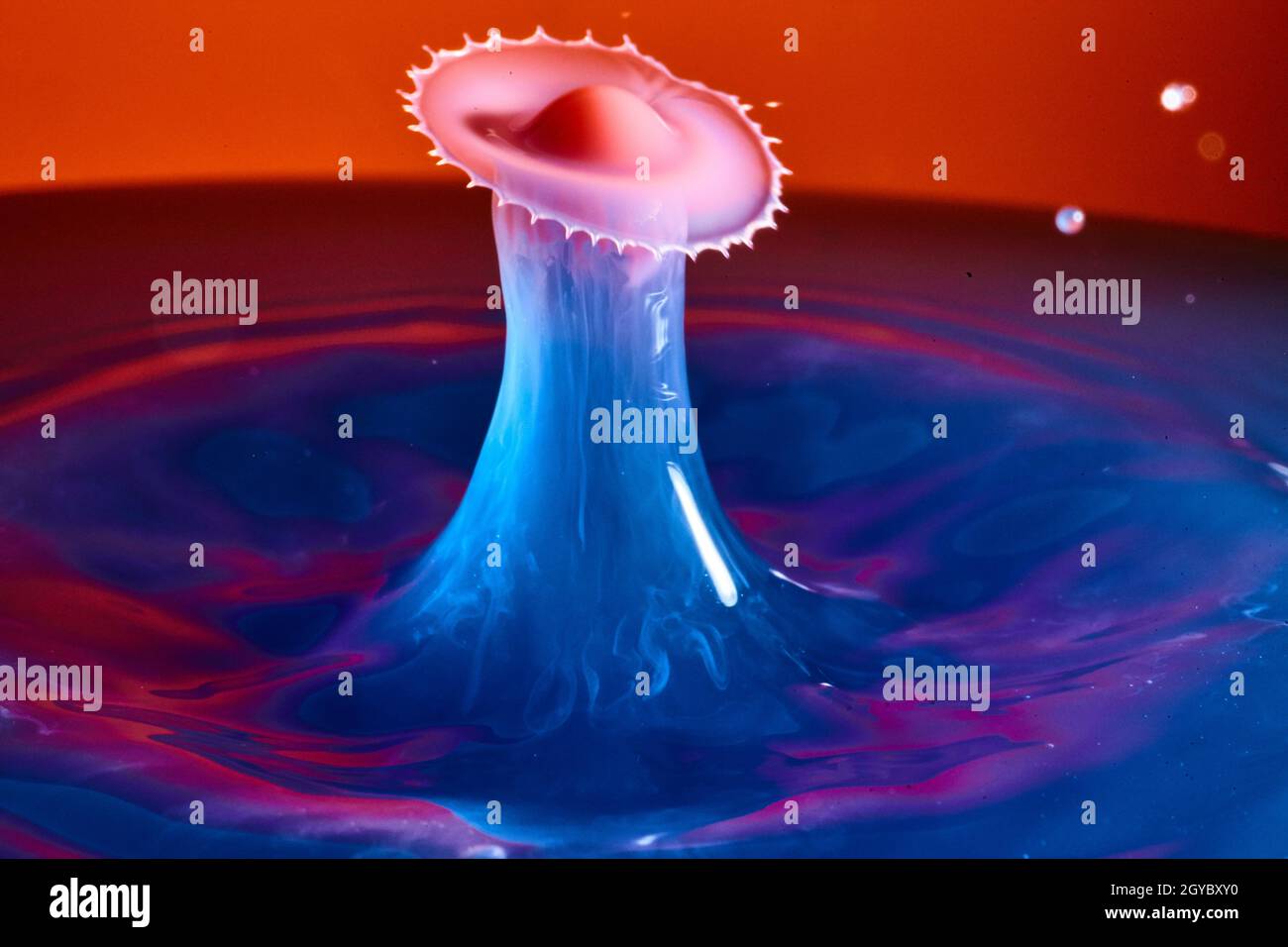 Spritzer von neblig blauem Wasser mit Sägetyp platzen und rotem und violettem Hintergrund Stockfoto
