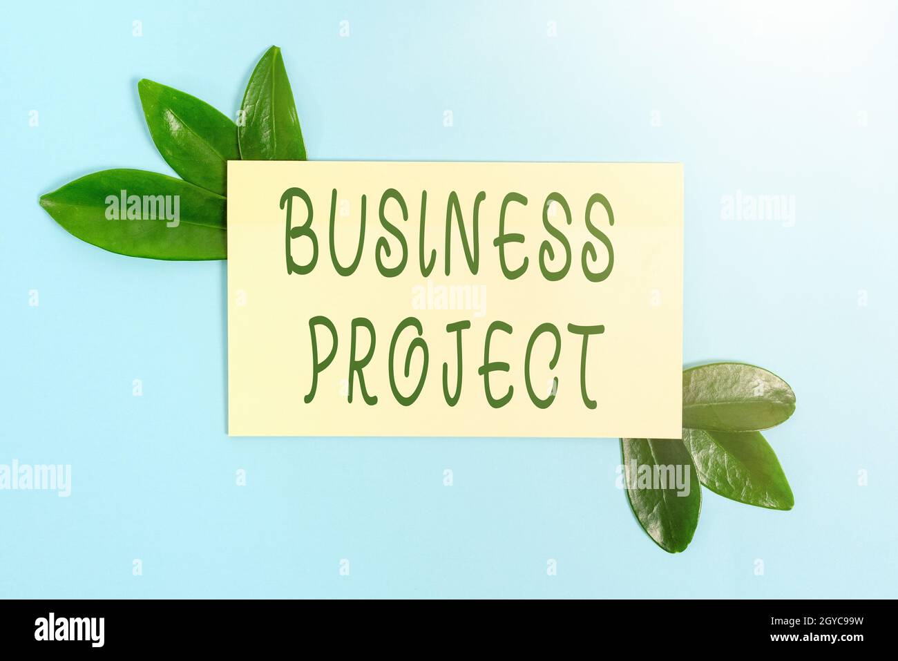 Konzeptionelle Bildunterschrift Business Project, Business Showcase geplante Reihe von miteinander verbundenen Aufgaben im Laufe der Zeit ausgeführt werden Natur Thema Präsentation Ideen und Stockfoto