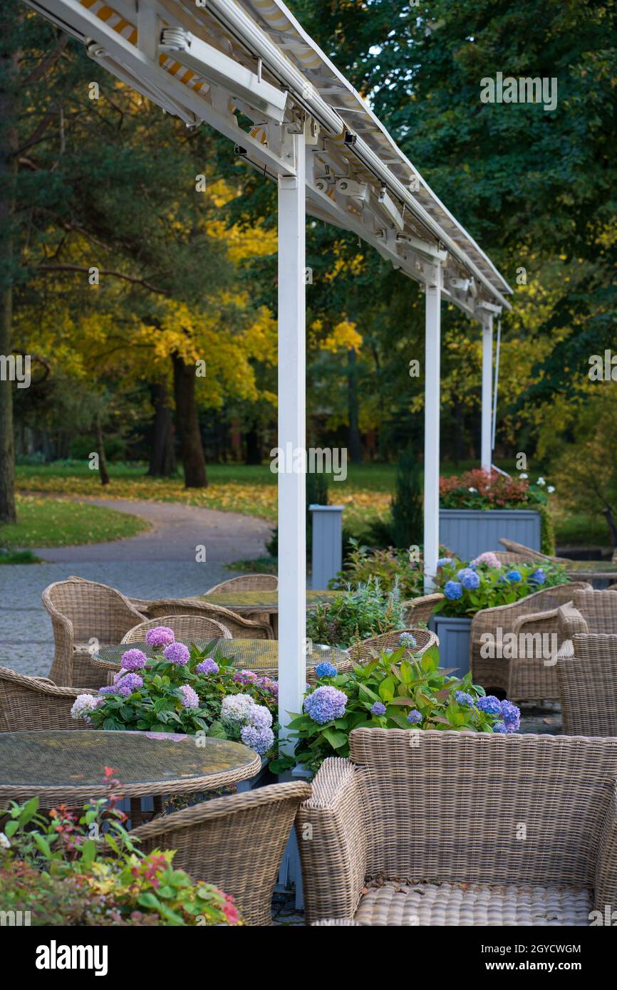 Gemütliche Café-Terrasse im Herbstpark: Komfortable Korbmöbel auf der Terrasse. Gartenrestaurant in der Natur Stockfoto