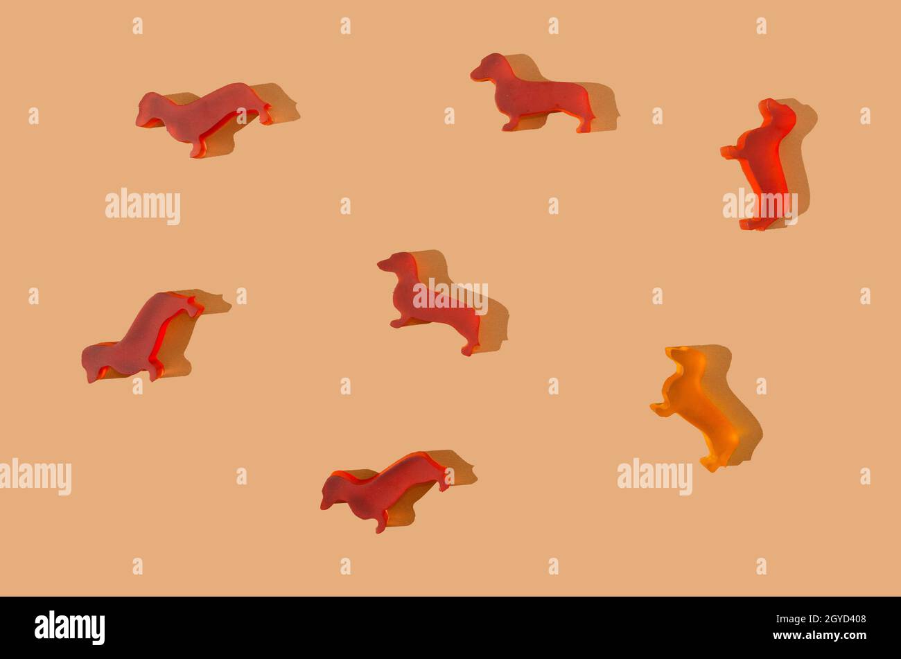 Ein Muster oder eine Tapete aus sechs roten Dackel und einem gelben. Hellbrauner Hintergrund. Kreatives Konzept für Tierliebhaber oder Kinder. Stockfoto