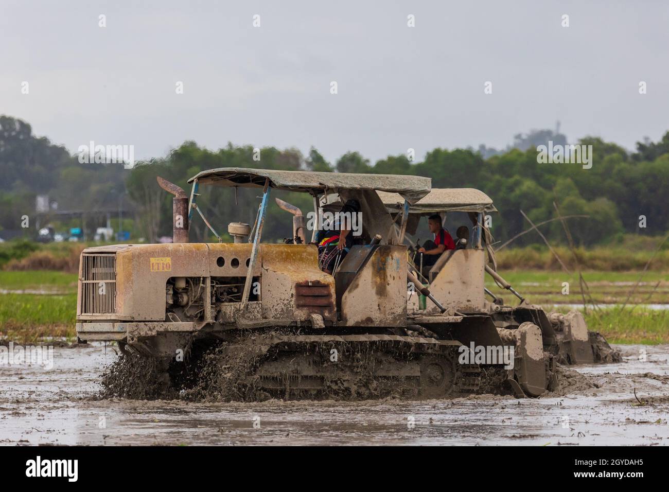 Kota Kinabalu, Sabah, Malaysia-May 25, 2021 : die lokale ländliche Lebensweise mit Traktor kultiviert und schneidet Furchen auf dem Feld. Traktorarbeit in schwarz Stockfoto