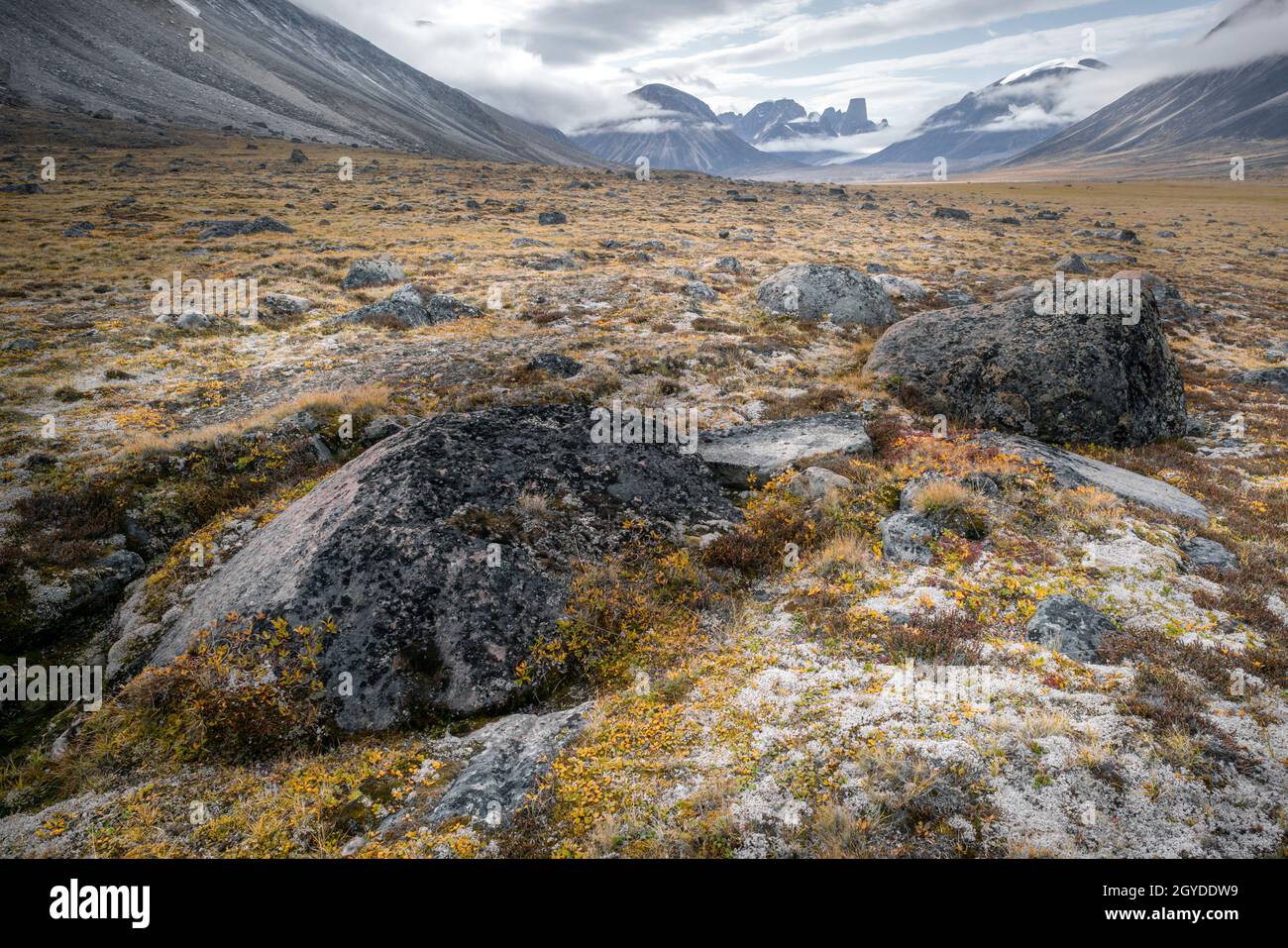 Wolkiger Tag im wilden, abgelegenen arktischen Tal des Akshayuk Pass, Baffin Island, Kanada. Ikonische Granitberge am fernen Horizont. Mt. Asgard in Stockfoto