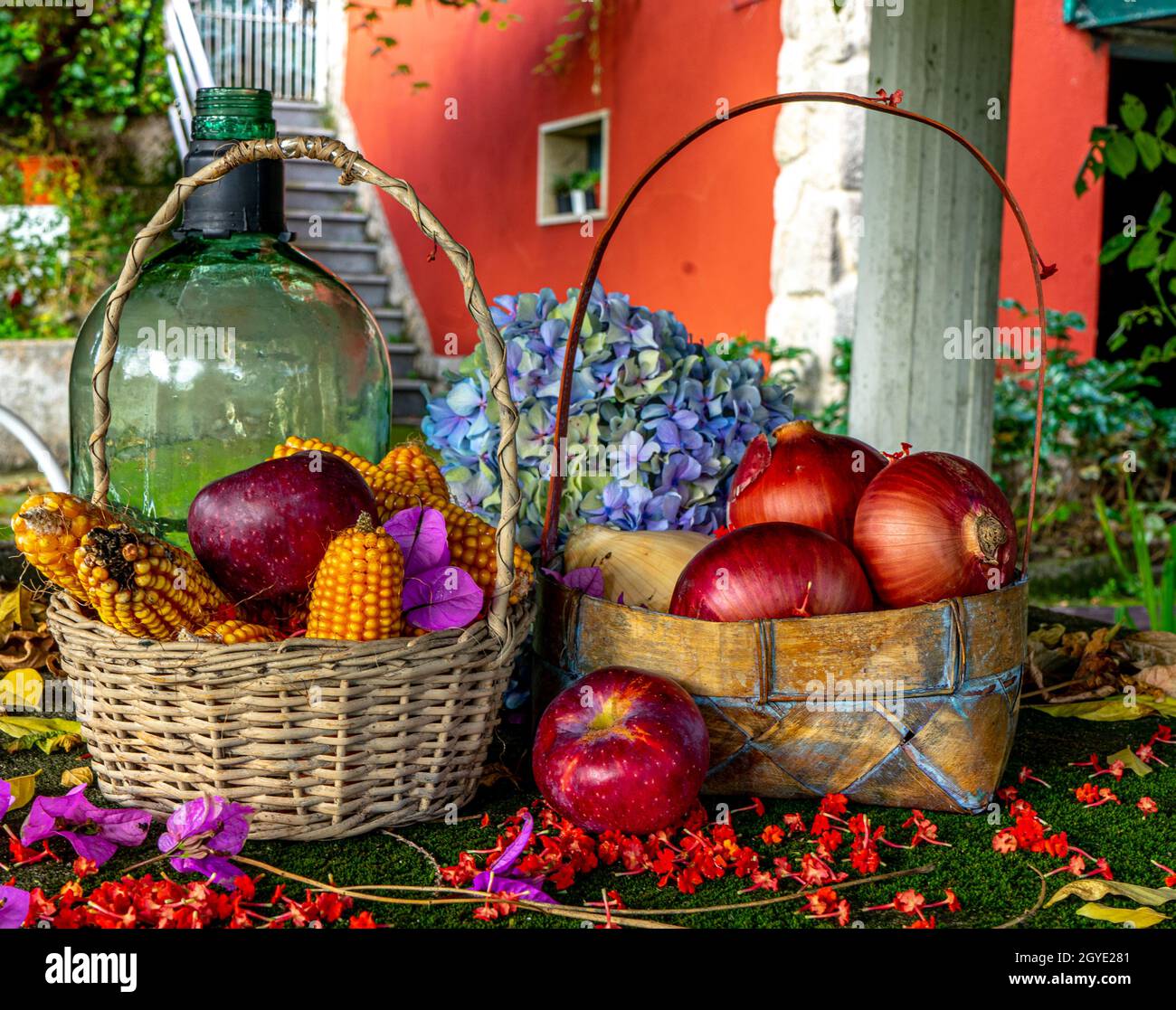 Rote Zwiebeln und Maiskolben in Sammelkörben neben einem Glasbehälter, eine Hortensienblüte getrocknete Blätter, die den Herbst ankündigen Stockfoto