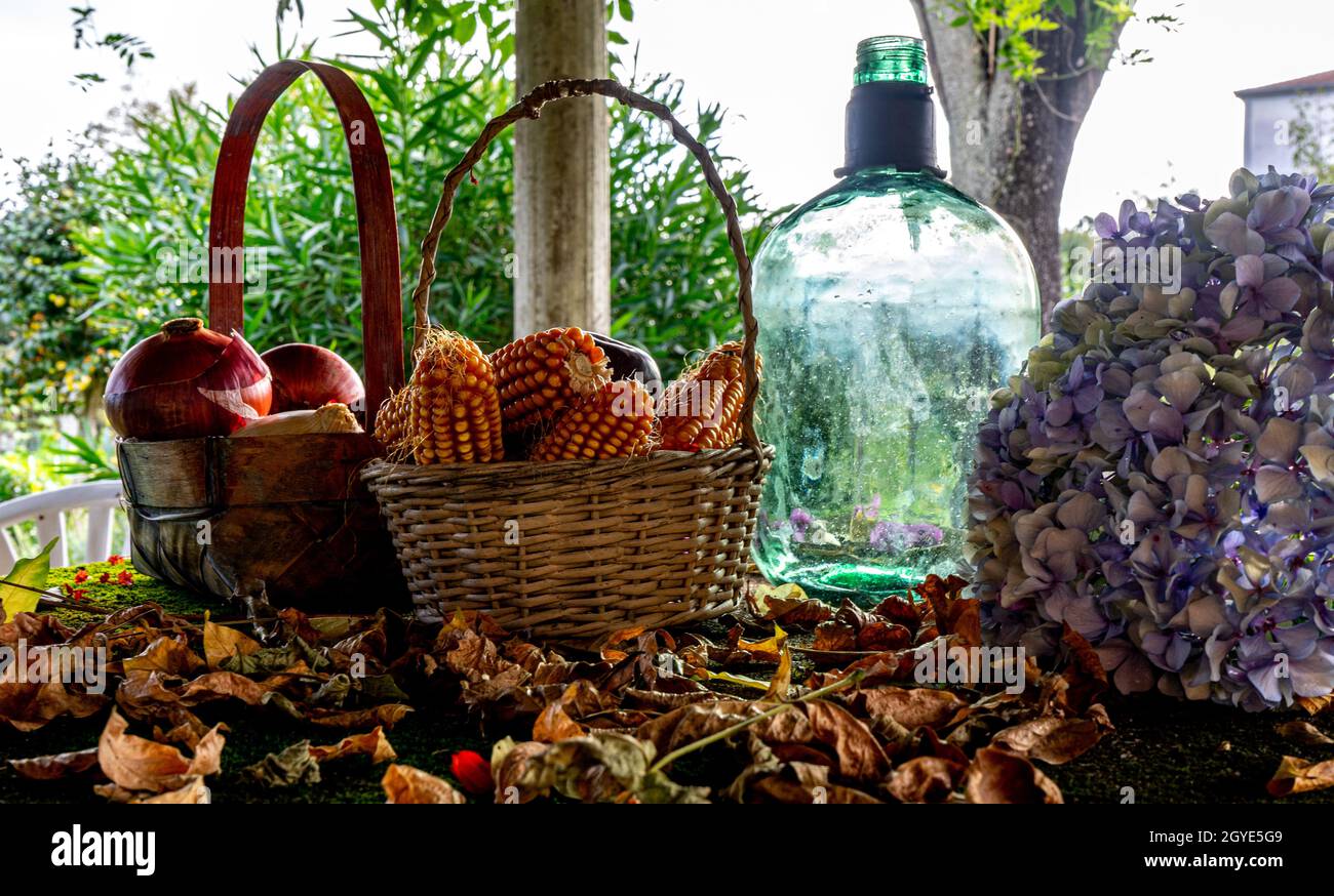 Körbe mit Maiskolben und Zwiebeln zwischen getrockneten Blättern Stockfoto