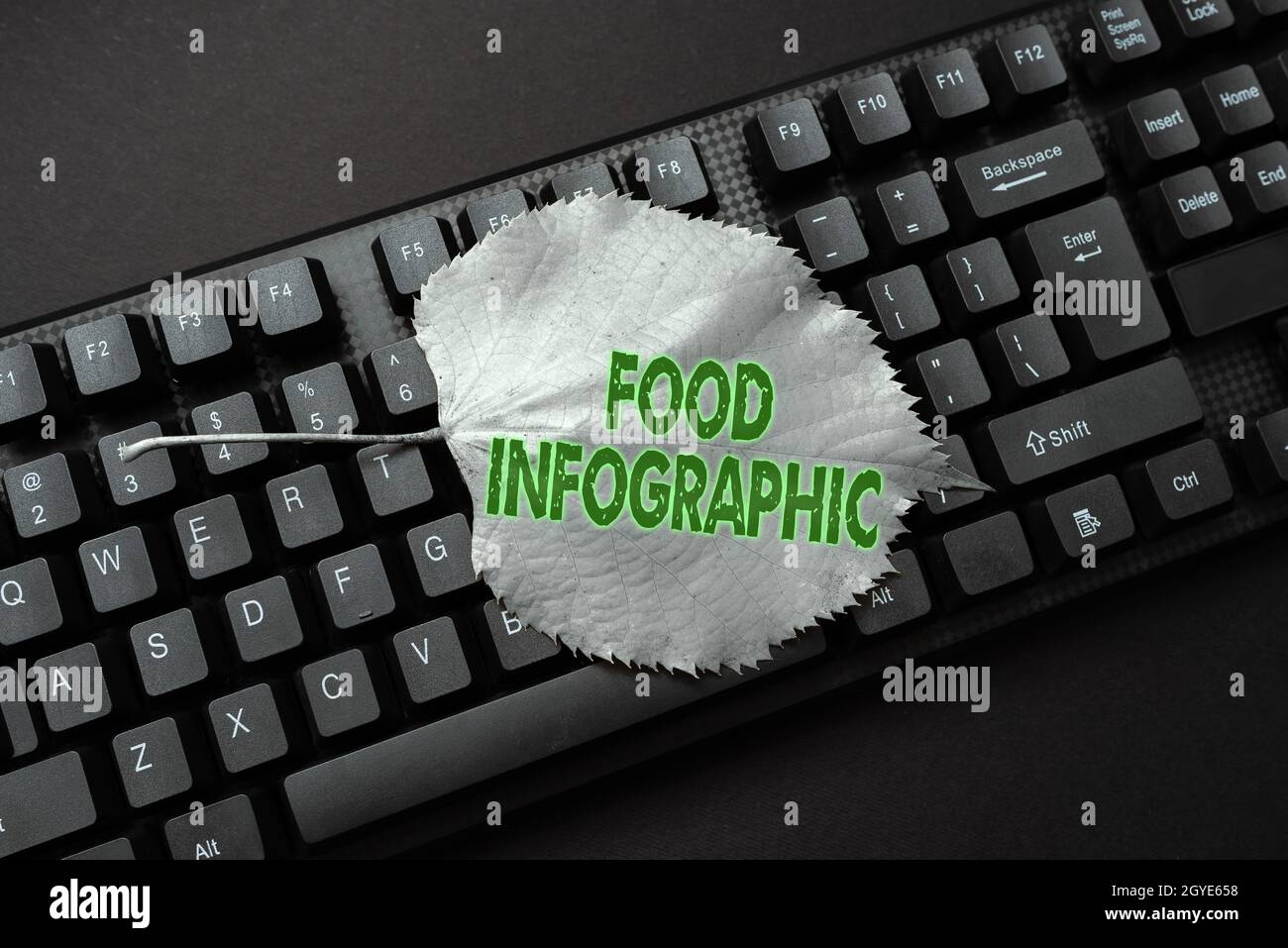 Konzeptionelle Bildunterschrift Food Infographic, Business Showcase visuelles Bild wie Diagramm zur Darstellung von Informationen Typing New Educational Textbook, Abs Stockfoto