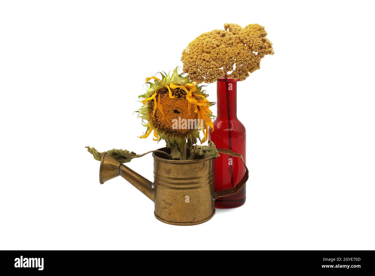 Spätsommerstill-Leben mit welkender Sonnenblume, die die Samenbildung in einer rustikalen alten Gießkannenmit Wildblume in einem bunten roten Flaschengehinn zeigt Stockfoto