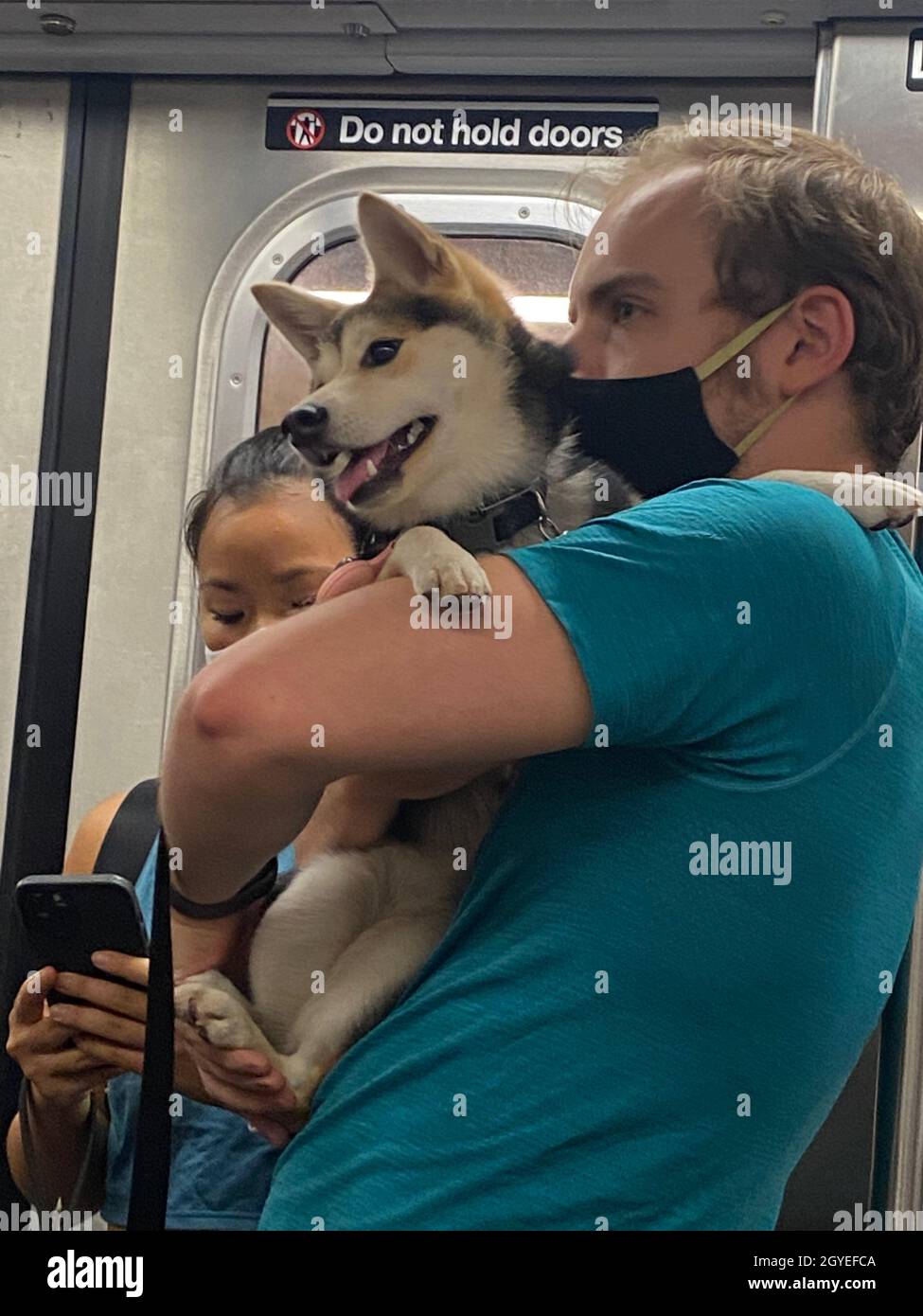 Mann, der seinen Hund auf einem Stehwagen in der U-Bahn in Manhattan, New York City, hält. Stockfoto