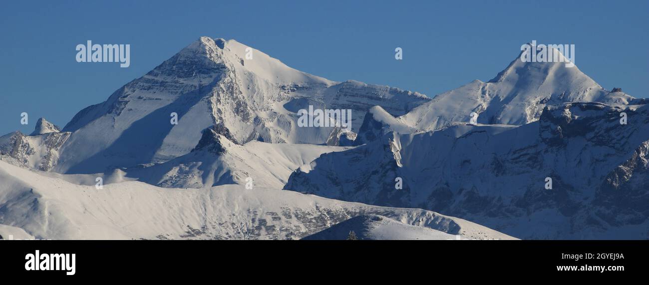 Gebirgszüge des Berner Oberlandes im Winter. Altels, Balmhorn und andere hohe Berge. Stockfoto