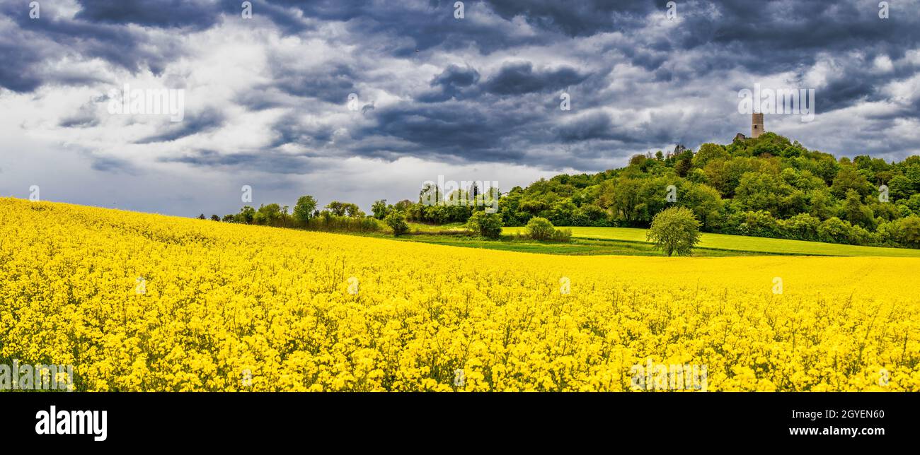 Blick auf die Burgruine vetzberg von der mittelalterlichen Burgruine gleiberg im Sommer mit schönen Mohn-Wiesen Stockfoto