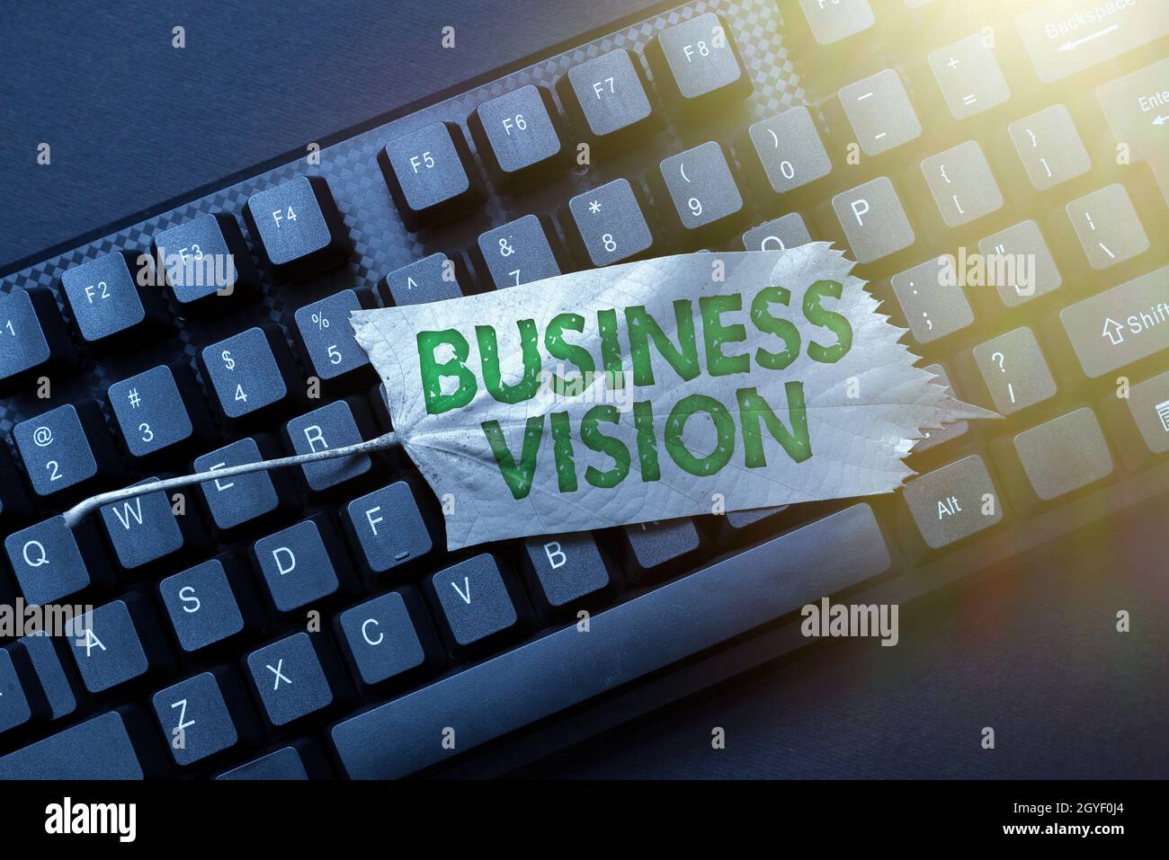 Schild mit Business Vision, Internet-Konzept Beschreibung dessen, was ein Unternehmen erreichen möchte, Neueingabe alter Arbeitsblattdaten, Abstract Typi Stockfoto